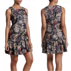 Nicole Miller Metallic Mesh Floral Sleeveless Ruffle Drop Waist Mini Dress Sz. 6